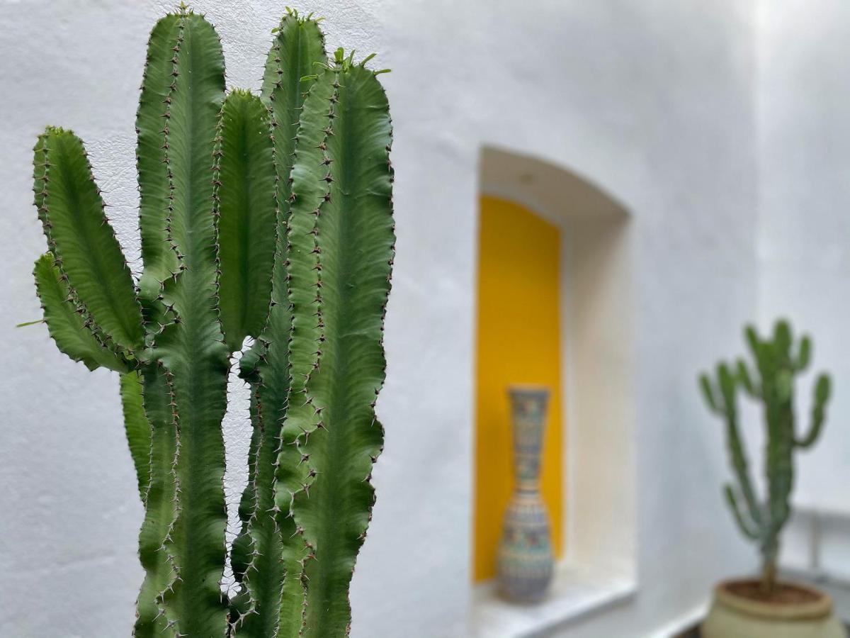 Dar El Kif - La Marsa Bed & Breakfast Exterior photo